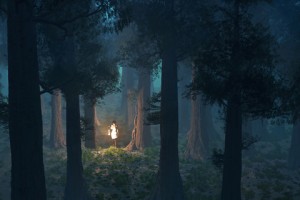lost-in-forest-300x200